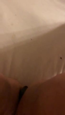 Slut