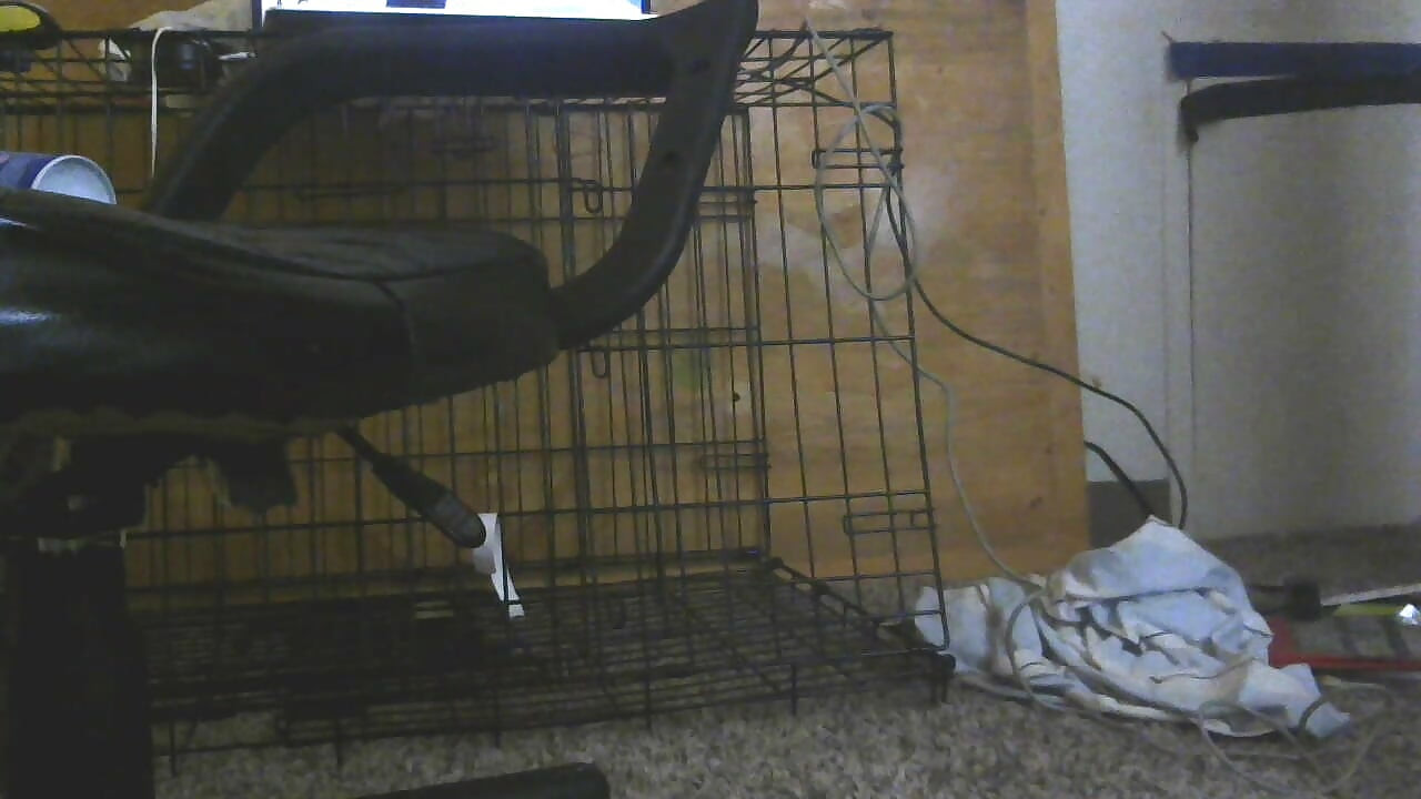 Take for some dick in this ass!