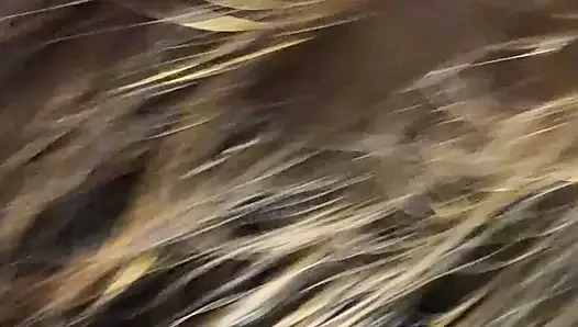 Fuck Me Nighthore