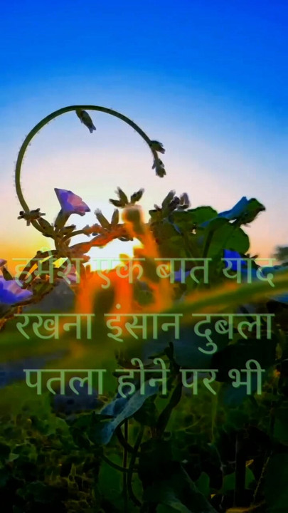 .nature lover