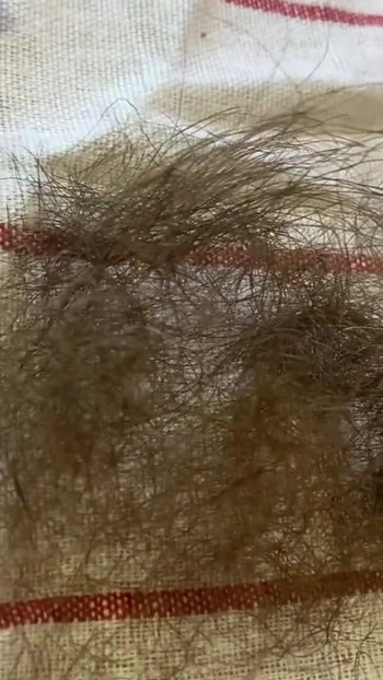 Unforgettable moment from "Hairy bush pussy hair cutting"