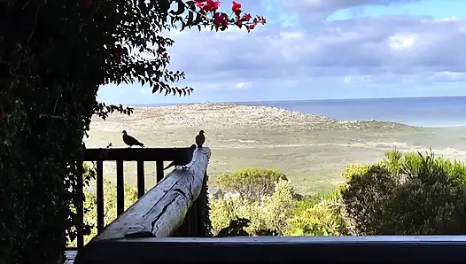 Caged - The chronicles of a life at her feet