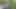 Indian Threesome Gay - A farm laborer and a farmer who employs the laborer have sex in a corn field - Gay Movie In Hindi voice