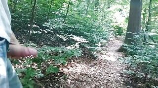 Szybki wytrysk na szlaku leśnym