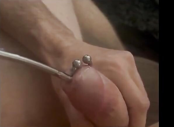 Got horny