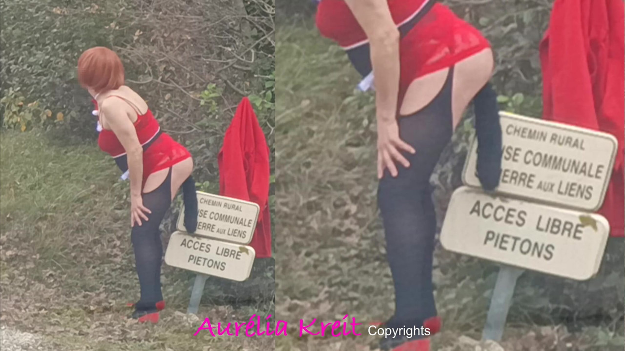 Christmas is approaching, Santa Girl is out to prepare Santa's tour: