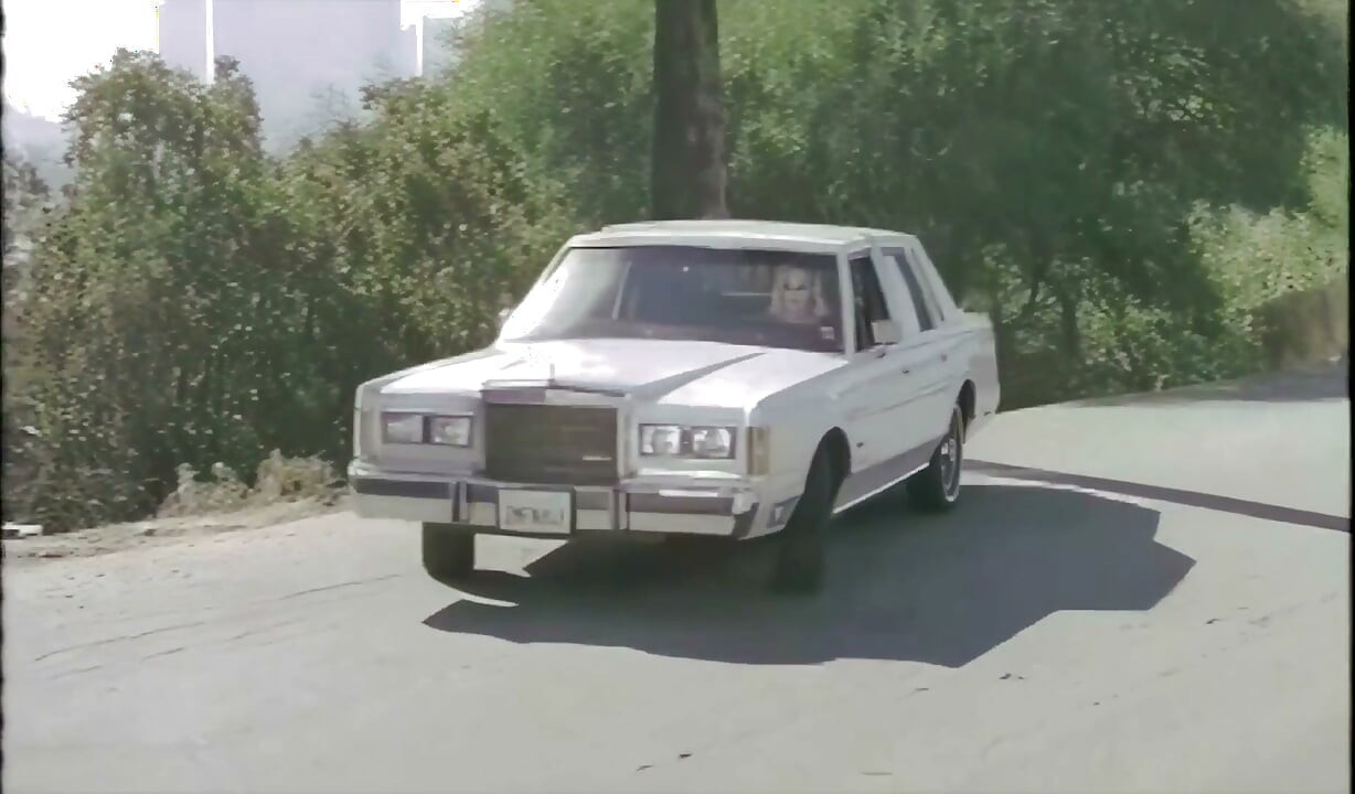 This Vintage Slut Takes a Nice Black Cock Under the Los Angeles Sky