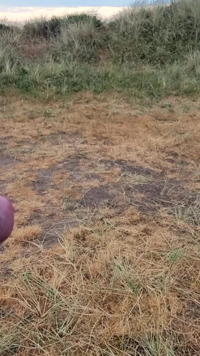 Emotional moment from "Morning Cumshot in Dansk Dunes"