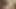 video_1