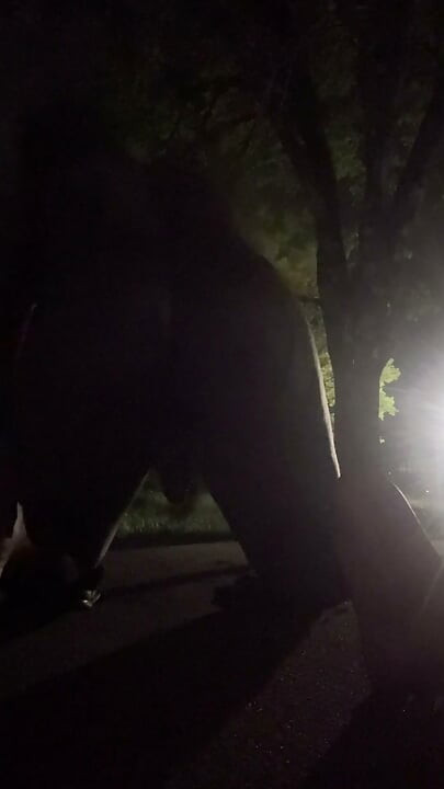 Fooling Around At Night Outside On The Sidewalk Fully Naked Part 4