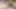 インド人カップル12