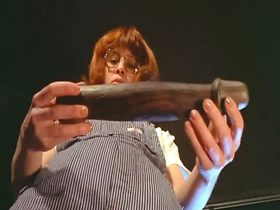 La Vitrine Du Plaisir (1978)