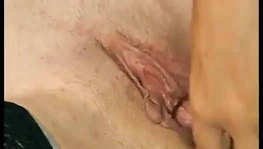 A Beautiful Piggy for Two Good Tails.