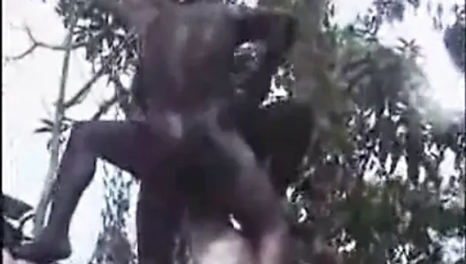 African amateur fuck on the tree