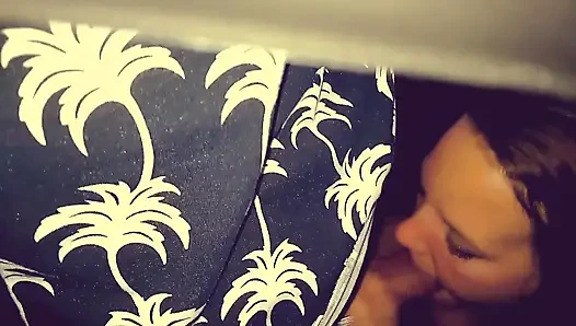 Wife Fucked in Car After Party