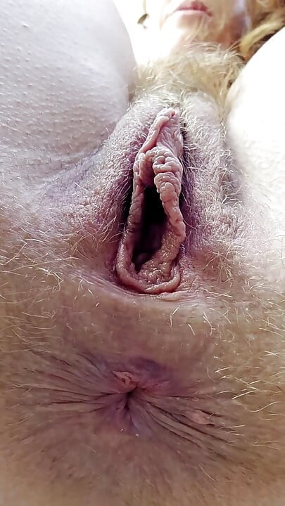 支配女神让你吃屁股和阴户