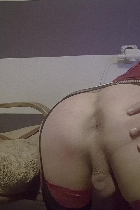 cadela anal