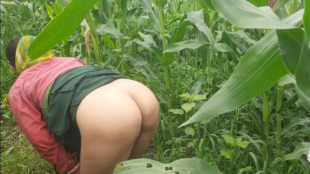 Daughter-in-law is shaking her fat ass in the field and putting fingers in the pussy, I father-in-law has said where I hit the ass, be donki in front of me.