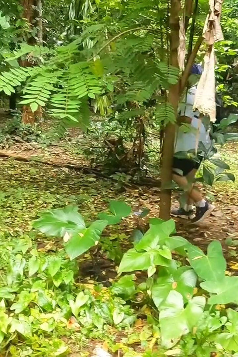 Casual Nude Walking, Chubby Girl Walking Completely Naked in the Jungle