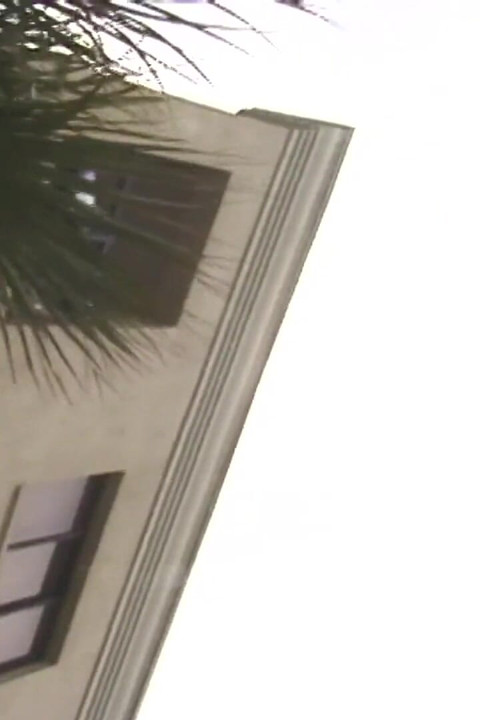 Peeing on  baordwalk