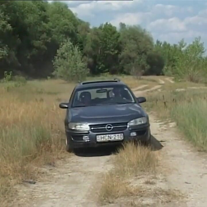 Perse nai rannalla