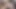 BBC lässt dicke Schamlippen, vollbusige Brünette leckt in triefendem Creampie