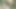 自然の中で裸の見知らぬ人に出会い、セックスした