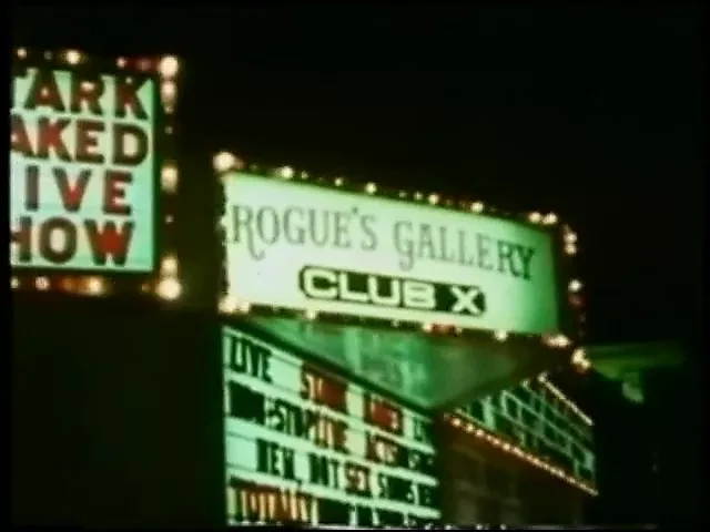 Hollywood Bitches - 1976