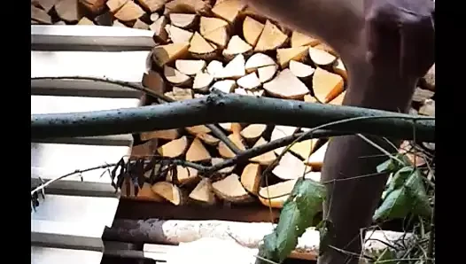 Orman yapımı