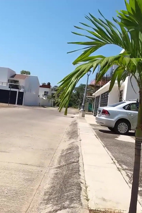 Kåt tjej suger en enorm kuk till en mun cumshot
