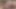 Oops, I didn't shave my Asspussy and then I wanted to cum- Closeup
