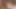 Niedliche Teenie mit kleinen Titten wird hart mit dieser Casting-Couch-Szene gefickt