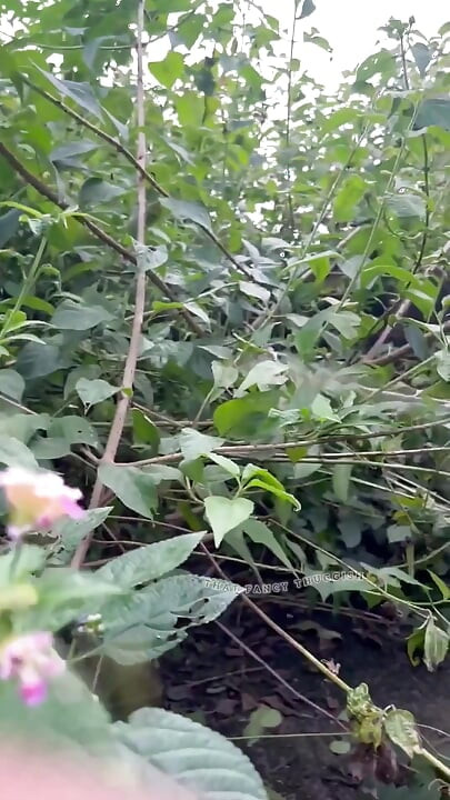 経験のために外に出ろ