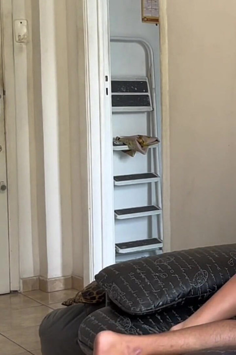 Dużo spuszczam się w jego gładką, idealną dupę