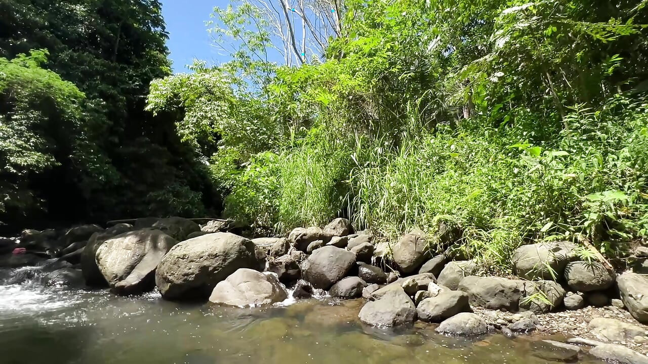 젖탱이를 가지고 핑거링하는 핫한 십대