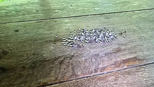 Göğüslerini parmaklıklara sok