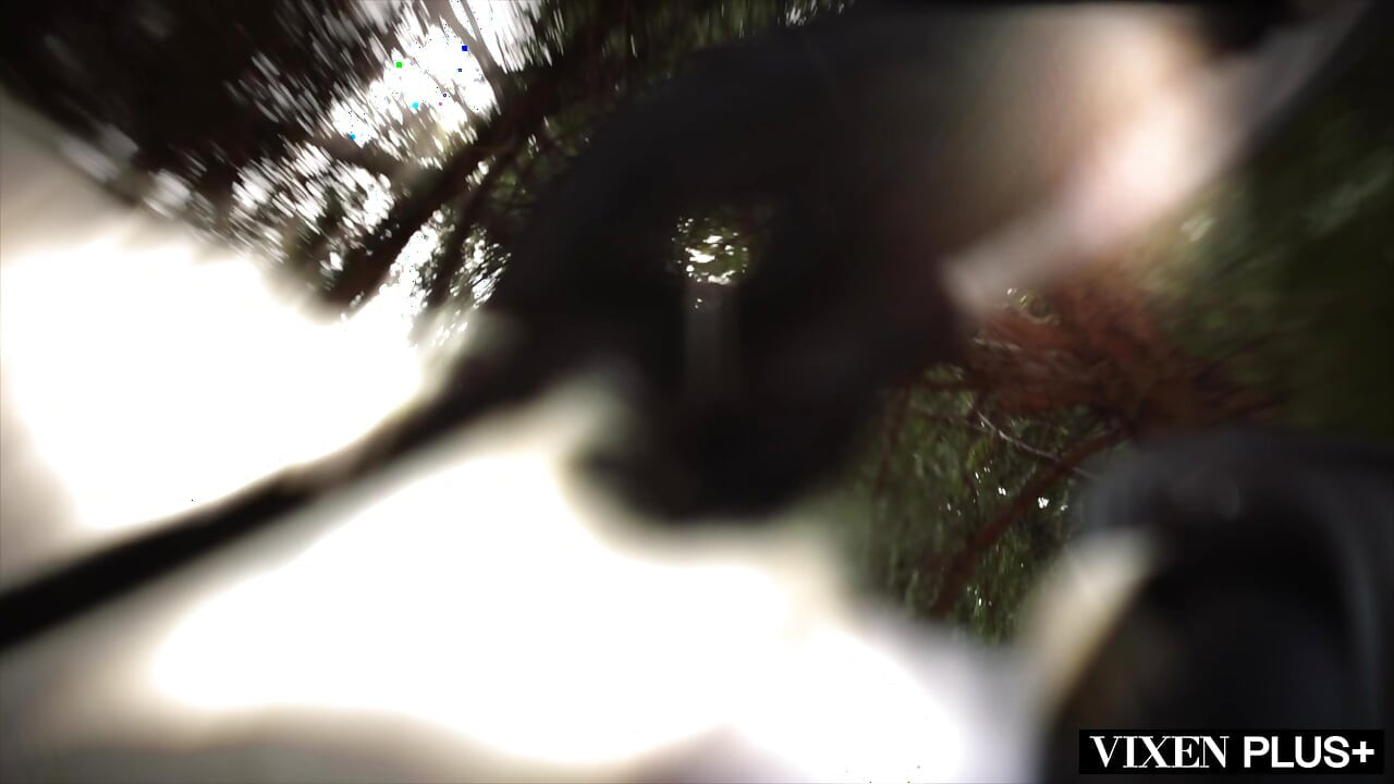 VIXENPLUS Bound Vol. 4 Compilation