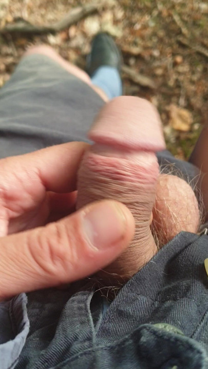 Straight dick out in the Woods feels good