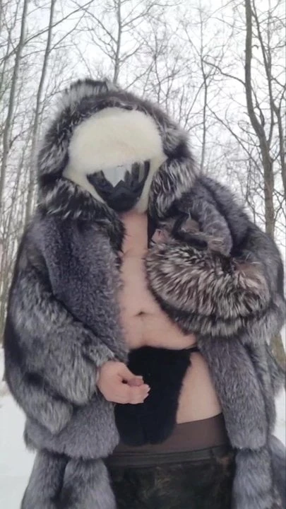 Fur fun in the woods