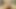 JohnTronX - Stunning Asian babe rides dick and rimjobs her man before a facial