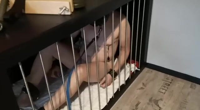 Caged