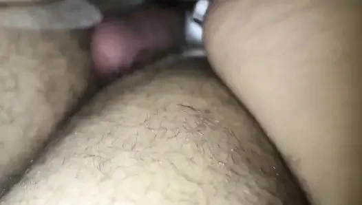 Büyük memeli Arap Suudi