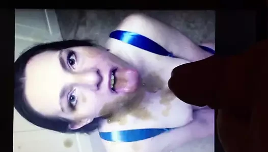 Shelly in8iable haraç