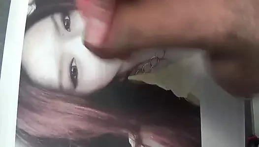 catffeine haraç