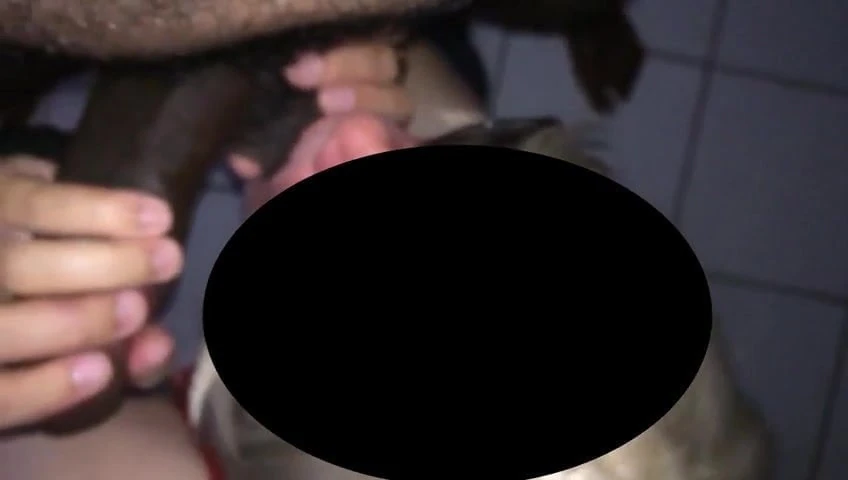 sucking my black friend's giant cock