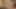 21 sextury - seksi Alexa Flexy, Cayenne Hot ve Stella Flex sırayla birbirlerinin ıslak amını yalıyor