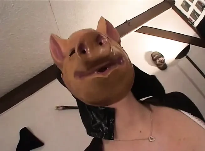 Piggy the teacher