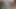 Sexslax sperm yutmak için kullanılıyor ve eğitiliyor