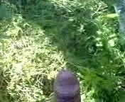cumshot