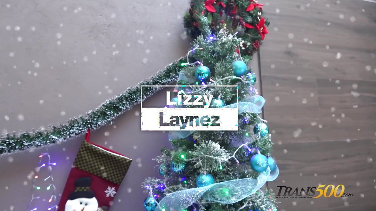 Merry Xxxmas From Trans500